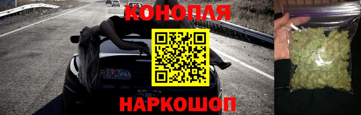 Бошки Шишки гибрид Славянск-на-Кубани